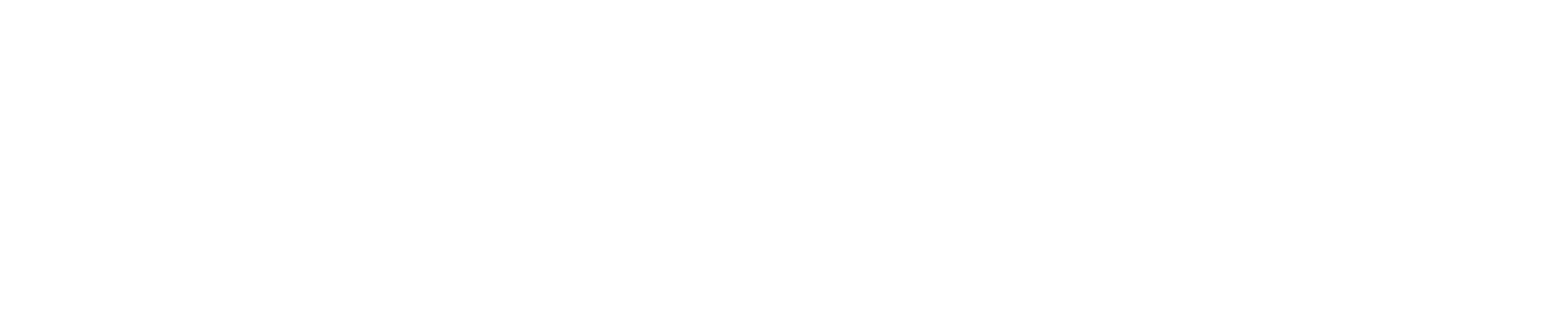 BioDesign More Than A Pool